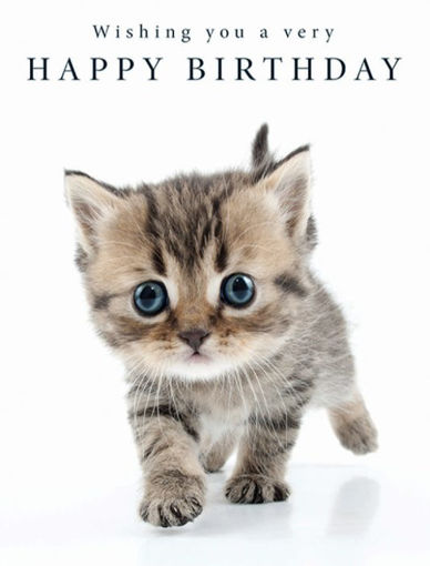 Picture of WISHING YOU A VERY HAPPY BIRTHDAY CARD